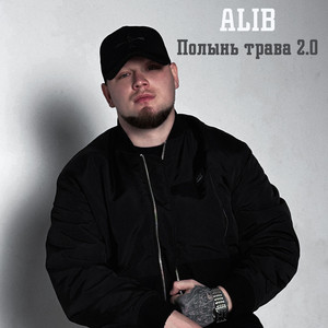 Полынь трава 2.0 - Remix by ALIB