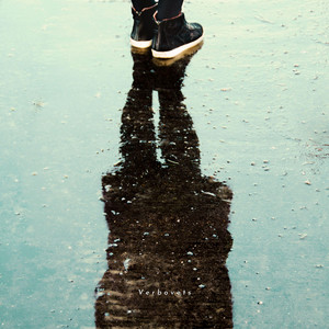 The sun in the rain