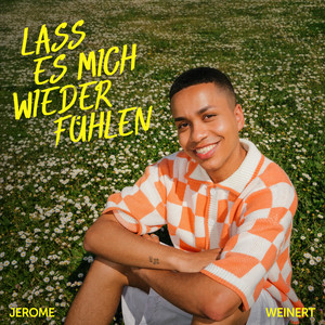 Lass es mich wieder fühlen