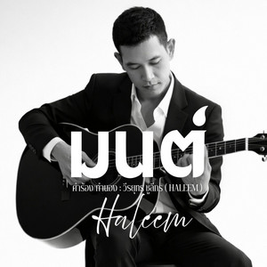 วีรยุทธ ชูลีกร ( HALEEM ) - มนต์