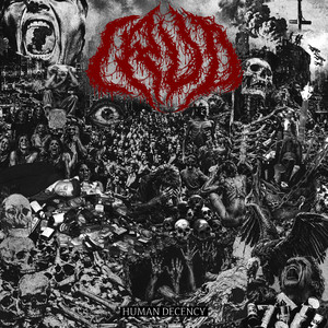 album cover: Human Decency