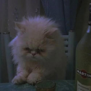 CORRUPTION – Johny - Coming for You