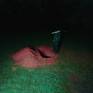 Six Feet Deep by Ethereal phxse