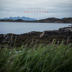 Luktegress by Amalgamare