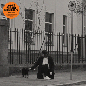 Portada de Waiting