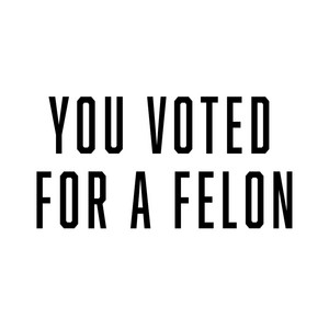 DJ ADDAKISS - YOU VOTED FOR A FELON