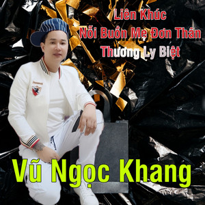 Vũ Ngọc Khang - Liên Khúc Nỗi Buồn Mẹ Đơn Thân, Thương Ly Biệt