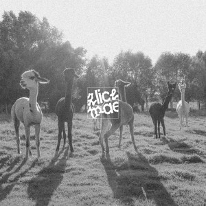 Square One by Alice Mae