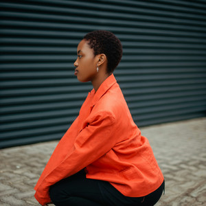 The Best Cat - Violin and orquestra