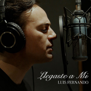 Llegaste a Mi by Luis Fernando