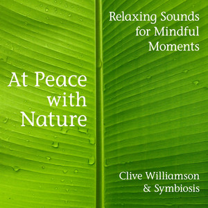 A Serene Suburb at Dawn (Parnell, Auckland, Nz) by Clive Williamson, Symbiosis
