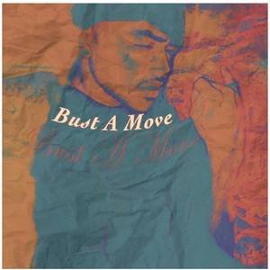 Portada de Bust a Move