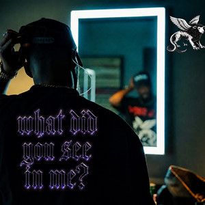 What Did You See in Me? by Jordan Ramble