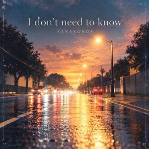 I dont need to know by Yanakonda
