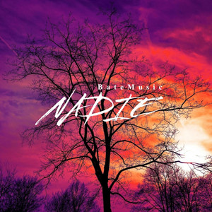 NADIE by BateMusic