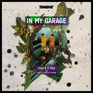 Ciori & P-Flex - Darkly