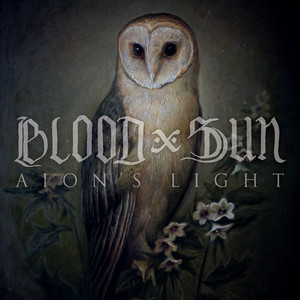 Life Lessons by Blood and Sun