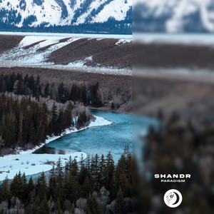 Paradigm by shandr