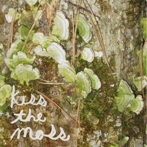 Kiss the Moss by Leah Wellbaum