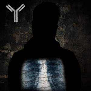 Spite seasoned lungs by Immunosuppressed