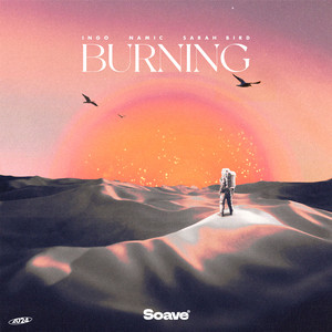 Burning by INGO, Namic, Sarah Bird