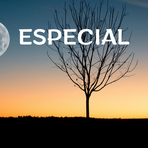 Especial by B Dany