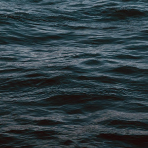 Zen (Noise) by Kinoko