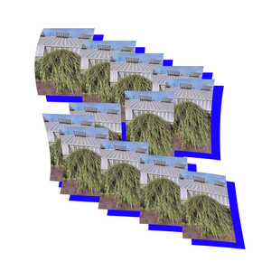 Martina Berther & Victoria Barca - Flecha