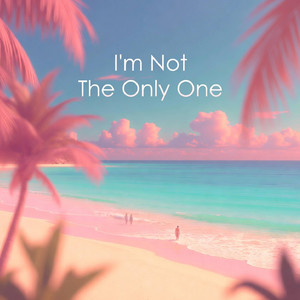 I'm Not The Only One by Paranapanema
