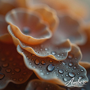 Saffron Haze by Amber Jazz Trio