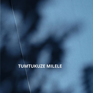 Nicholas Mango tv - TUMTUKUZE MILELE