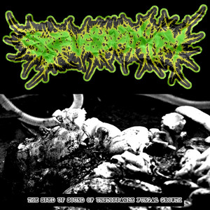 SERIOUS BODILY HARM - Flayed and Hung To Dry