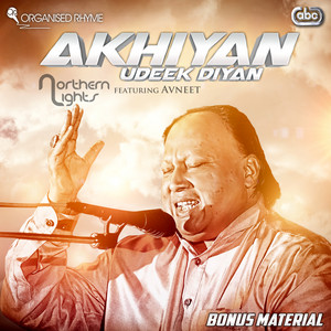 Akhiyan Udeek Diyan (Flute Instrumental) by Northern Lights