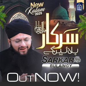 Hafiz Tahir Qadri - Sarkar Bulaingy