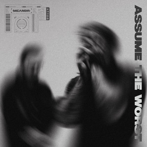 Assume the Worst by MEANDR