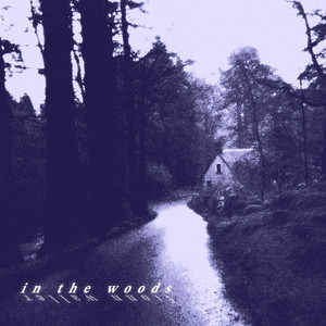 album cover: In the Woods