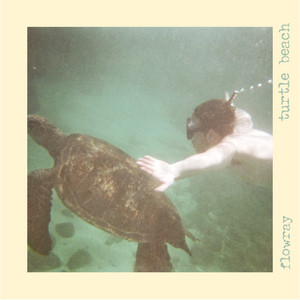 turtle beach by flowray