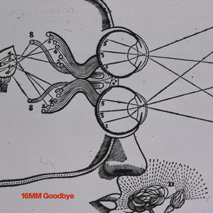 16MM Goodbye by Vera Moth