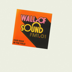 Wall Of Sound by Our Man In The Field
