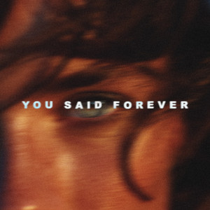 You Said Forever by NM