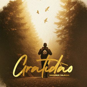Wander Vilinga - Gratidão