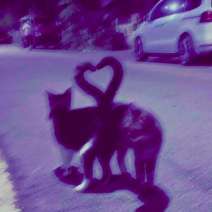 heart (wake up) by vixxen