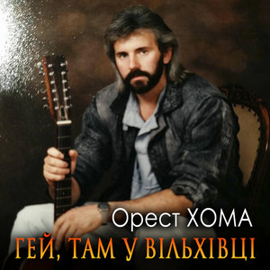 Гей, там у Вільхівці