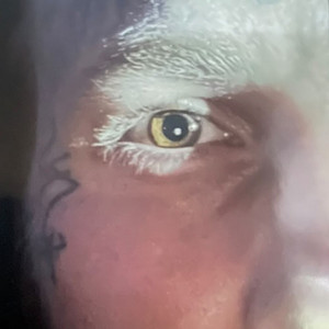 Cursed of the yellow eyed man by Samuel Cabana