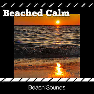 Beached Calm album