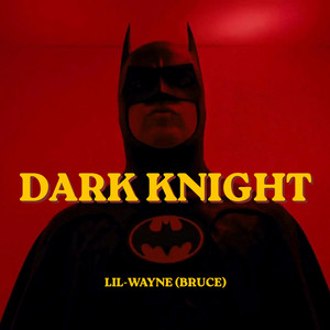 I Can't Be Your Dark Knight by Lil Bruce Wayne