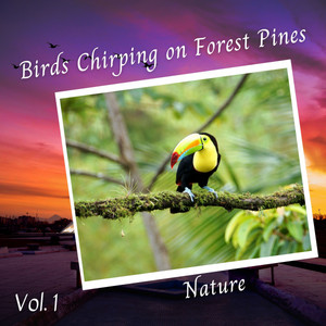 Nature: Birds Chirping on Forest Pines Vol. 1 album