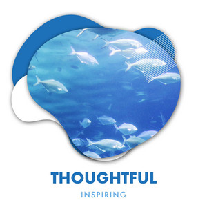 zZz Thoughtful Inspiring Ocean Radiance zZz album