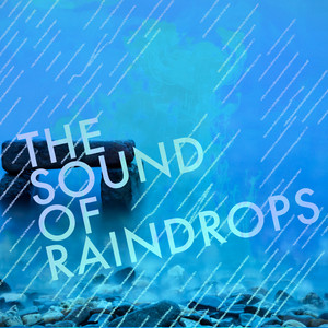 The Sound of Raindrops