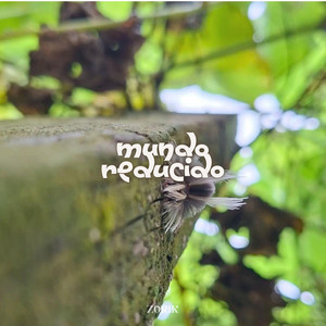 MUNDO REDUCIDO by ZORIK